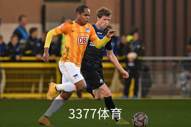 3377体育公司介绍